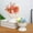White, variant on Ke1Clo Microwave Safe Portable Rice Cooker, Food Grade Plastic Container with Steam Vent, Reheat Cook Soup Vegetables Noodles for Home Kitchen Office Dorm