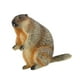 thumbnail image 5 of Modelo de Marmota Figura de Juego de Animales Modelo de Juego Realista para El Hogar Artesanía de Educativas Tempranas para Niños Niñas Niñas de pie, 5 of 8