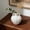 D, variant on Elainilye Decorative Vase Plastic Planter for Artificial Dried Flowers and Plants Home Tabletop Decor Office Desk Shelf Display