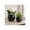 Black, variant on Round Mosaic Disco Mosaic Flower Pots for Home Decor - Modern Metal Planter for Indoor and Outdoor Styling - Plant Pots for Living Room and Garden Display - Set of 2, 9", 6", Black