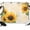 GoldenRod, variant on Botanical Sunflowers Backdrop for Photography,Fabric Photo Background Backdrop,Farmhouse Watercolor Flowers Leaves Photo Booth Background for Portrait Photoshoot Video Wedding Studio Banner 7x5ft