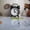 Black, variant on Classic Analog Alarm Clock Home Decoration,Cute Small Metal Alarm Clock,Cool Creative Alarm Clock,Alarm Clocks Home Décor,2.4 x 0.7 x 2.2inches,Black