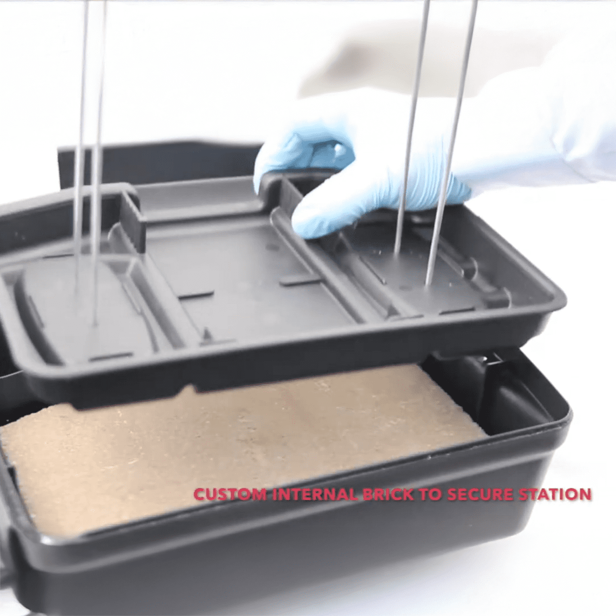 Two Protecta EVO Express Bait Stations with Weighted Bases - Bait & Trap Mice or Rats - Two Bait Stations by Bell Laboratories