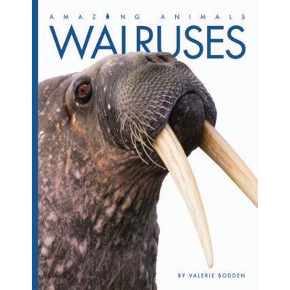 Pre-Owned Walruses (Paperback) 1628322217 9781628322217