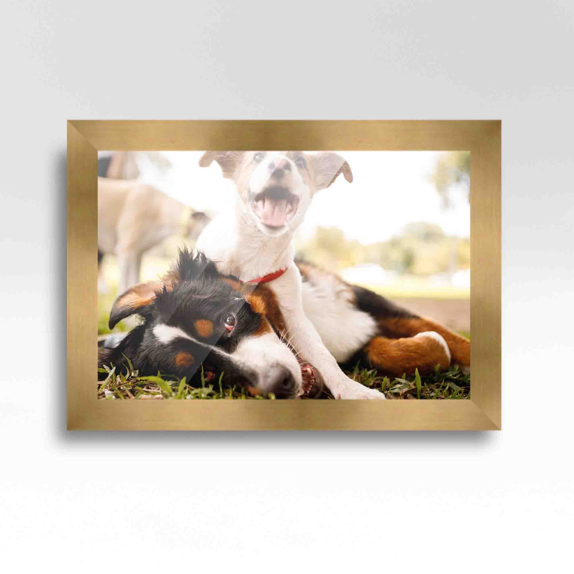 18x24 Wide Bronze Real Wood Picture Frame Width 1.5 inches | Interior Frame Depth 0.5 inches |