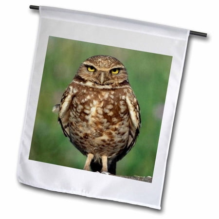 3dRose Saw Wheat Owl - Garden Flag, 12 by 18-inch