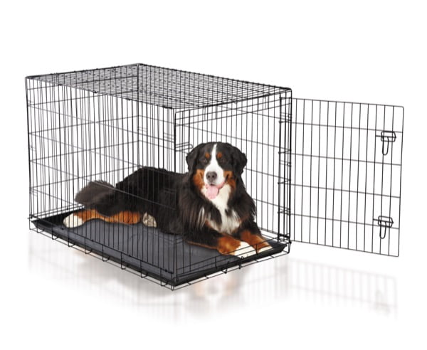 walmart dog kennels in store