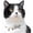 Gray, variant on UOSIA Fashion Pet Necklace Cat Pearl Crown Collar Accessories Pet Cat Teddy Collar Pearl Jewelry Choker