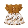 thumbnail image 1 of Vestido Para Niñas, Ropa Para Niñas Pequeñas, Manga Corta, Volantes, Estampado Floral, Vestido De Princesa, Marrón Odeerbi LM103-1122, 1 of 8