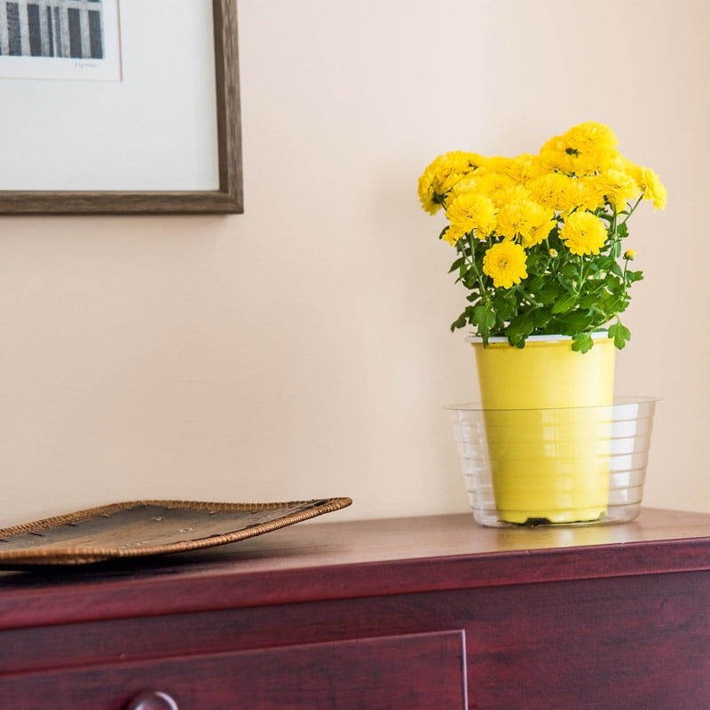 Potted Plant Liner 6" Pack of 25