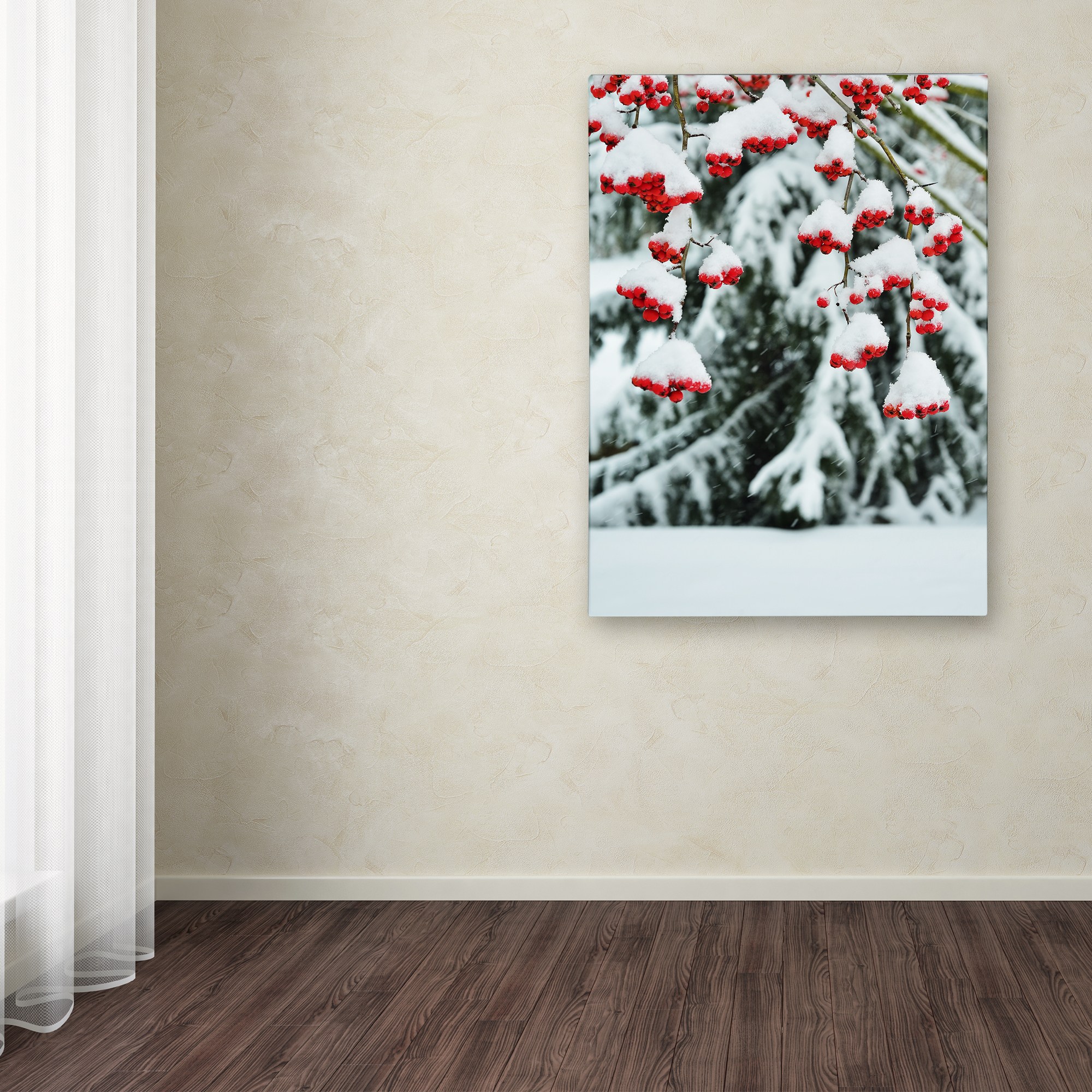 Trademark Fine Art "Winter Berries and Pine" Canvas Art by Kurt Shaffer