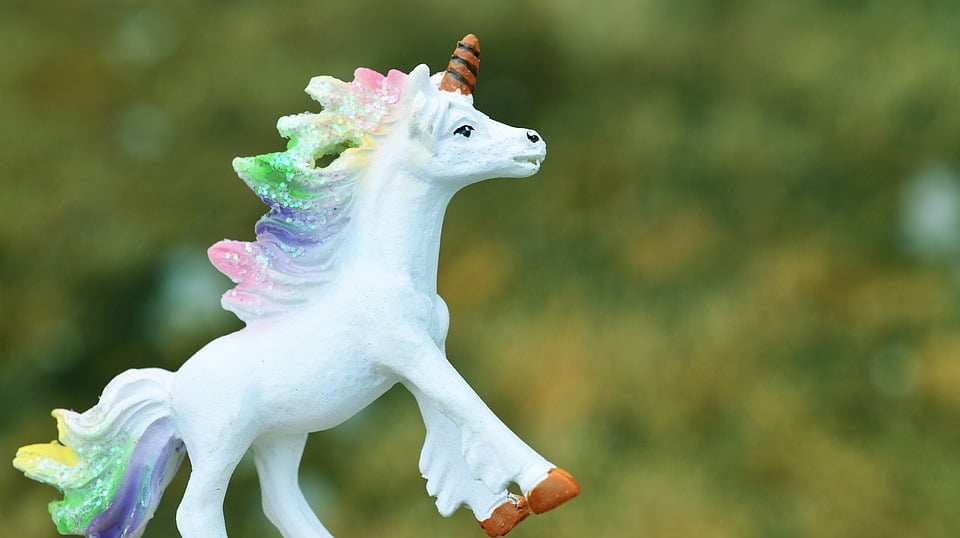 unicorn stick horse walmart