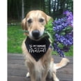 thumbnail image 2 of Bandana para perros HDGDT Mis humanos se van a casar, ella dijo que sí, 2 of 5