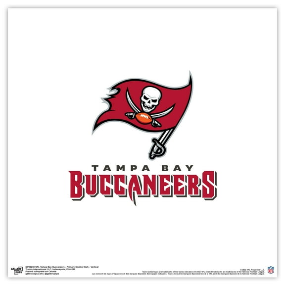 Gallery Pops NFL Tampa Bay Buccaneers - Primary Combo Mark - Vertical Wall Art, Unframed Version, 12" x 12"
