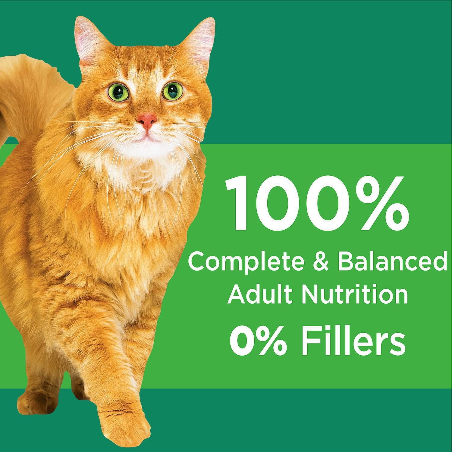 Iams Proactive Health Healthy Senior Dry Cat Food: Optimal Nutrition