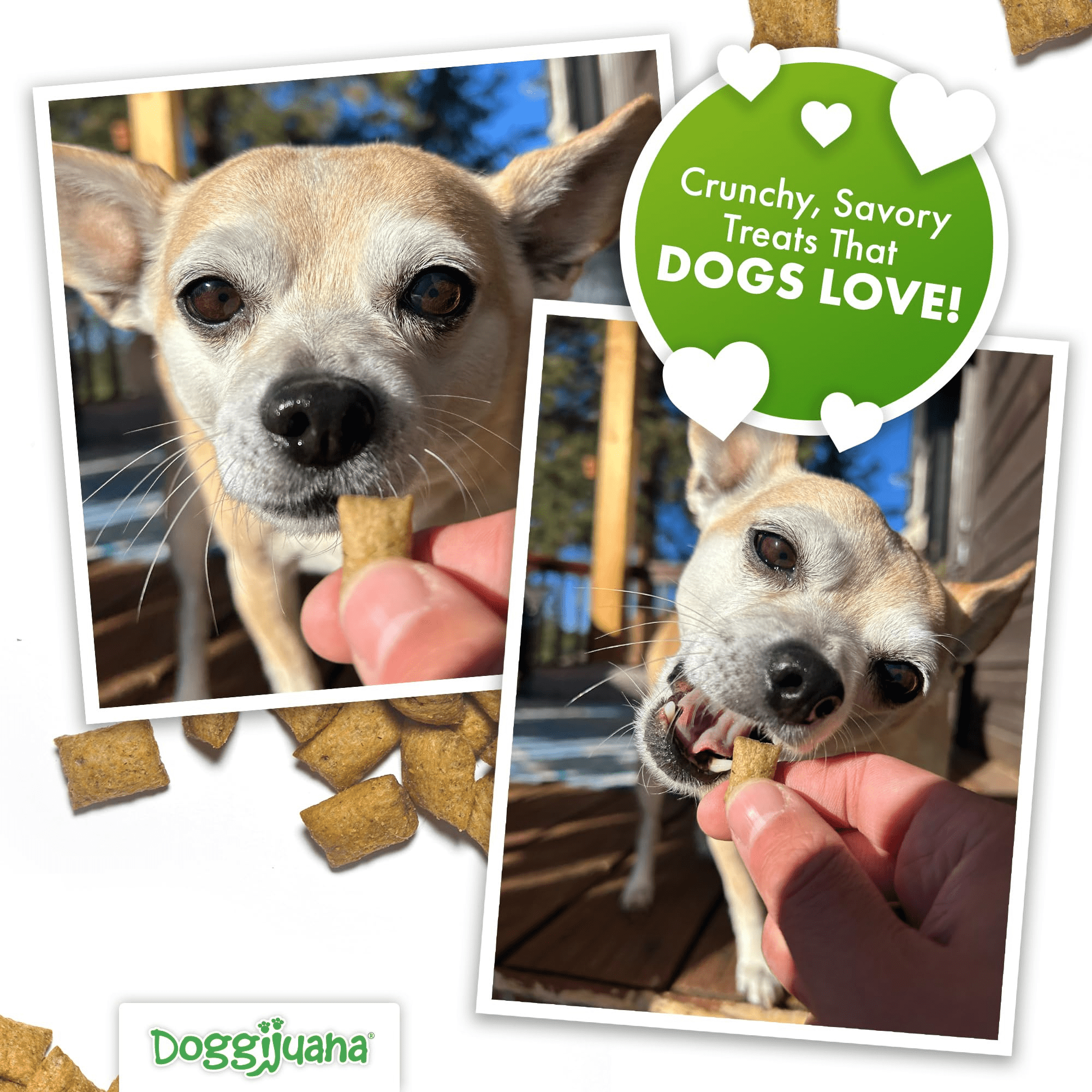 Doggijuana Dog Treats with Catnip, Chamomile and L-Tryptophan, Crunchy Calming Training Treats, Peanut Butter Flavor, 6 oz