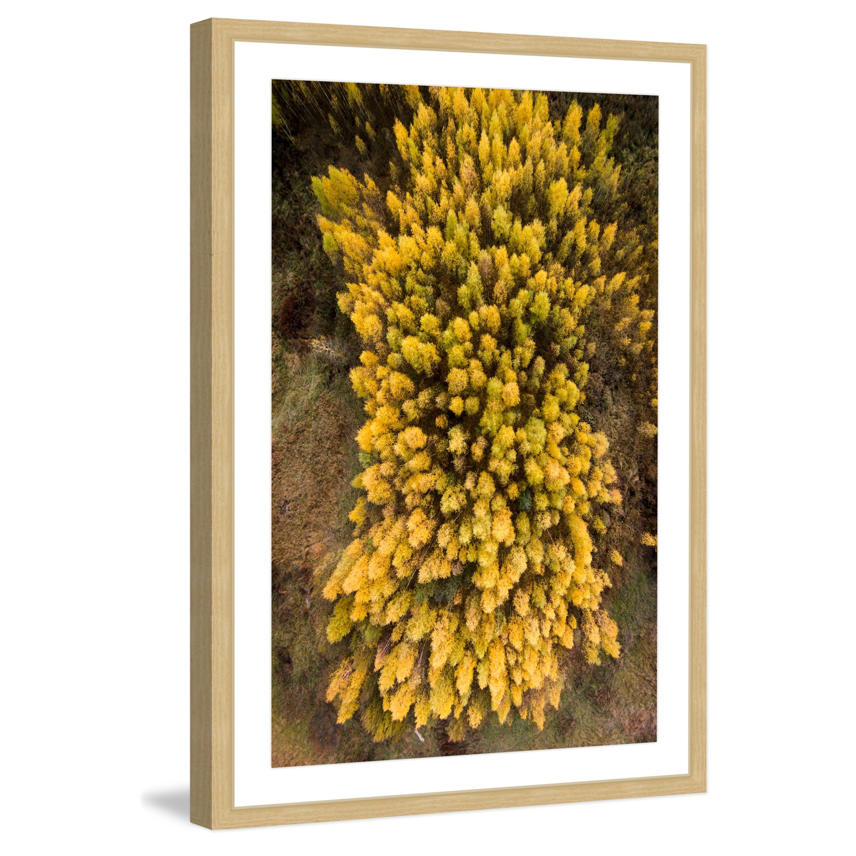 Marmont Hill "Yellow Flora" by Karolis Janulis Framed Painting Art Print