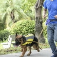 thumbnail image 4 of Riñonera Para Pasear Perros, Riñonera Para Perros, Multifuncional, Gran Espacio, Bolsa Para Recoger Caca, Orificio Para Auriculares Para Salidas Para Caminar, 4 of 7