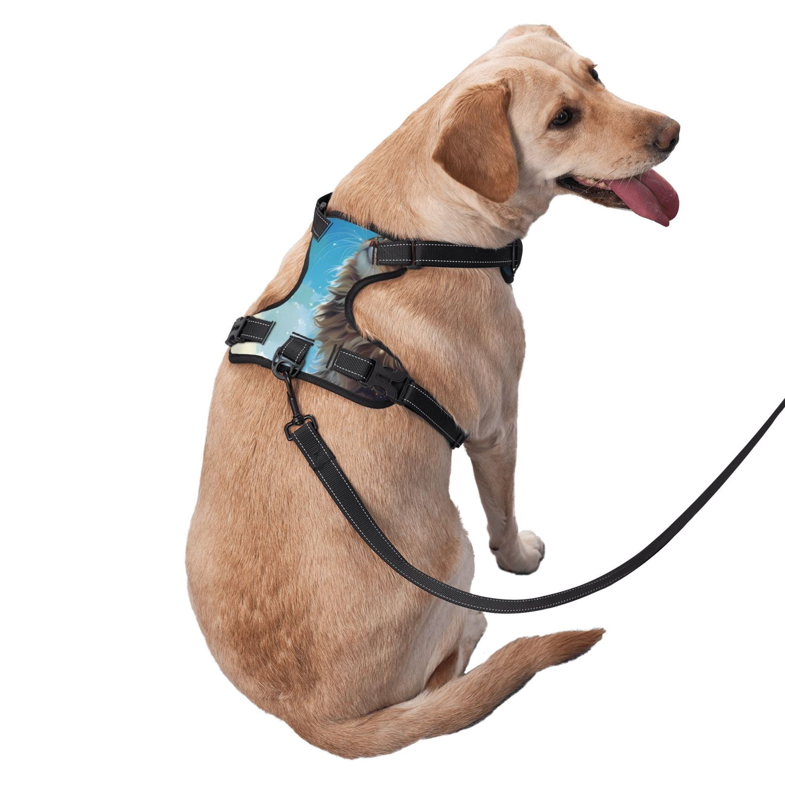 Fuzoiu Blue Sky Winged Cat Print Reflective Dog Harness,Adjustable, Breathable Pet Vest,Dog Harness No Pull,No Choke Pet Vest for Small, Medium, and Large Dogs-Medium