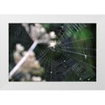 thumbnail image 3 of Logan Thomas 32x23 White Modern Wood Framed Wall Art Titled - Spiderweb II, 3 of 5