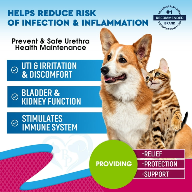 Best medicine for dog uti hotsell