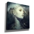 thumbnail image 2 of Epic Graffiti 'Fly' by Anna Dittman, Giclee Canvas Wall Art, 12"x12", 2 of 8