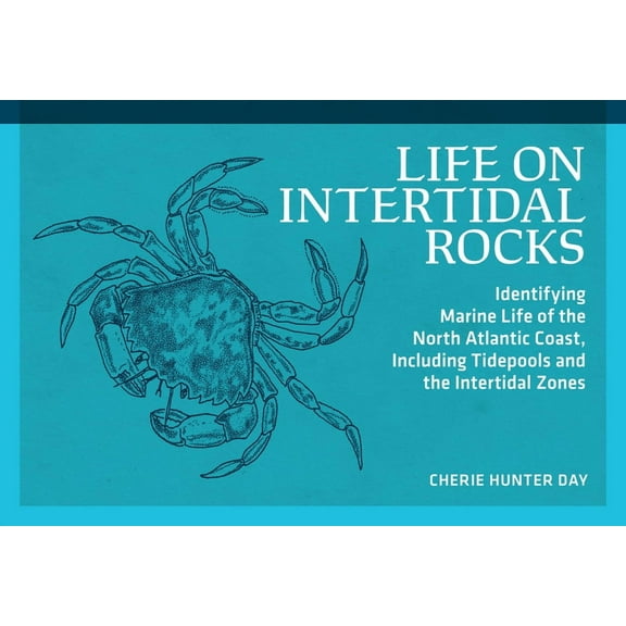 Nature Study Guides Life on Intertidal Rocks: Identifying Marine Life of the North Atlantic Coast, Including Tidepools and the Intertidal Zo, (Paperback)