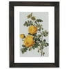 Drew Barrymore Flower Home Floral Framed Art Prints