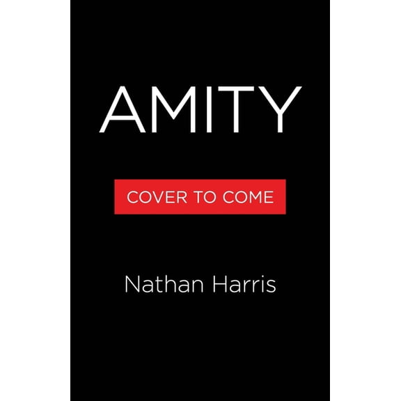 Amity, (Paperback)