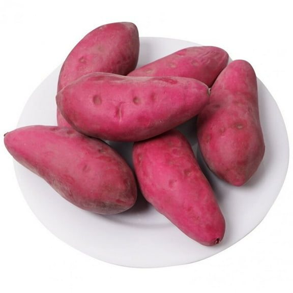 6 Piece Artificial Sweet Potato Lifelike Faux Vegetables