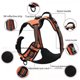 thumbnail image 4 of Arnés para perros, transpirable, reflectante, accesorios para perros, chaleco con asa para perros pequeños y grandes, suministros para caminar al aire libre, entrenamiento para mascotas, 4 of 5