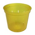 thumbnail image 1 of 4" Slotted Clear Orchid Pots - 3 Pack (Yellow Topaz), 1 of 4