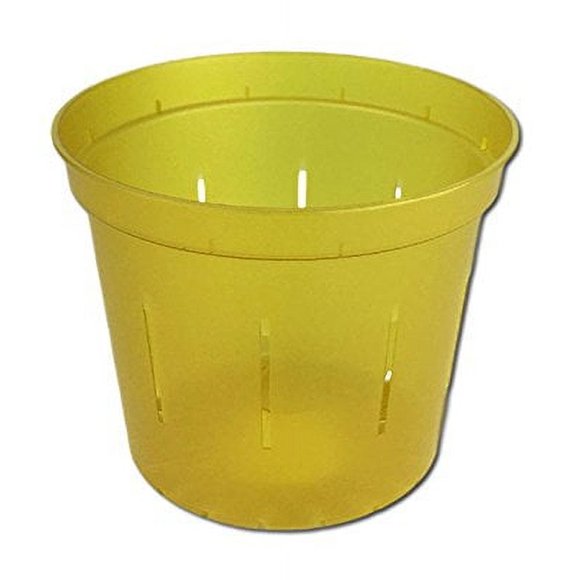 4" Slotted Clear Orchid Pots - 3 Pack (Yellow Topaz)