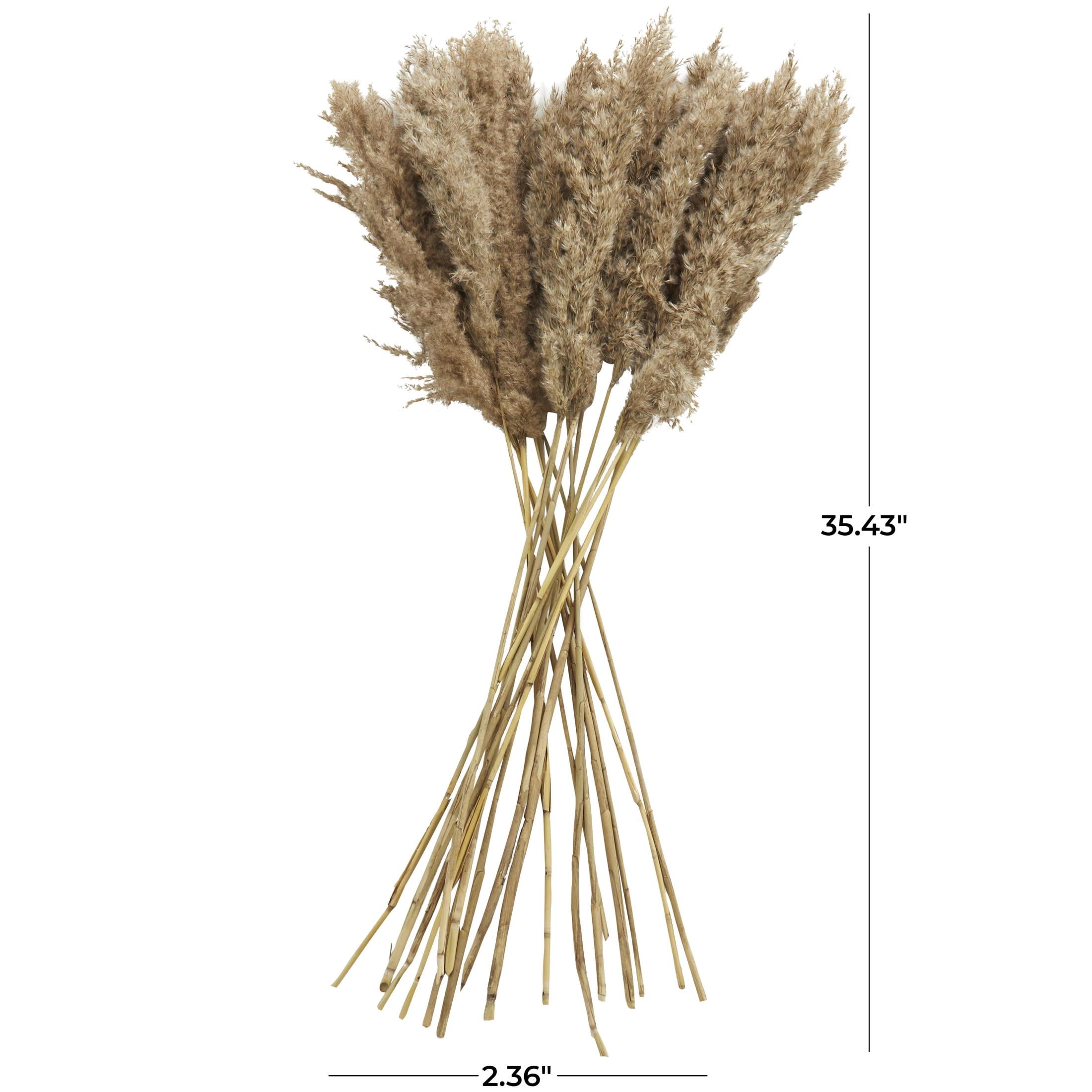 35" Grass Dried Plant Natural Foliage Pampas Bouquet with Long Stems, by DecMode