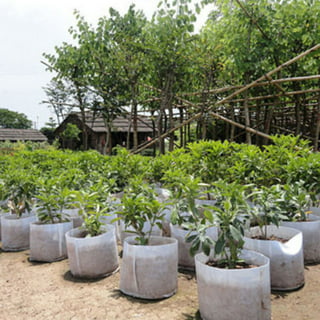 SPRING PARK 100Pcs/Set Plant Grow Bags Pot Fabric Pouch Nursery Seed  Raising Bag Garden 