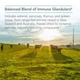 thumbnail image 4 of NutriCology ImmoPlex Glandulars - Adrenal, Pancreas, Thymus, Spleen - 60 Vegicaps, 4 of 7