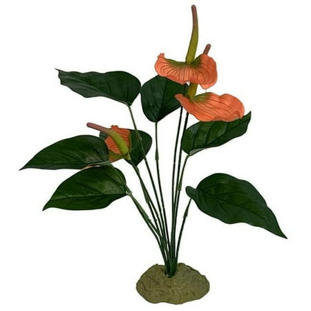 UPC: 0784369932010 | Komodo Anthurium Ornament