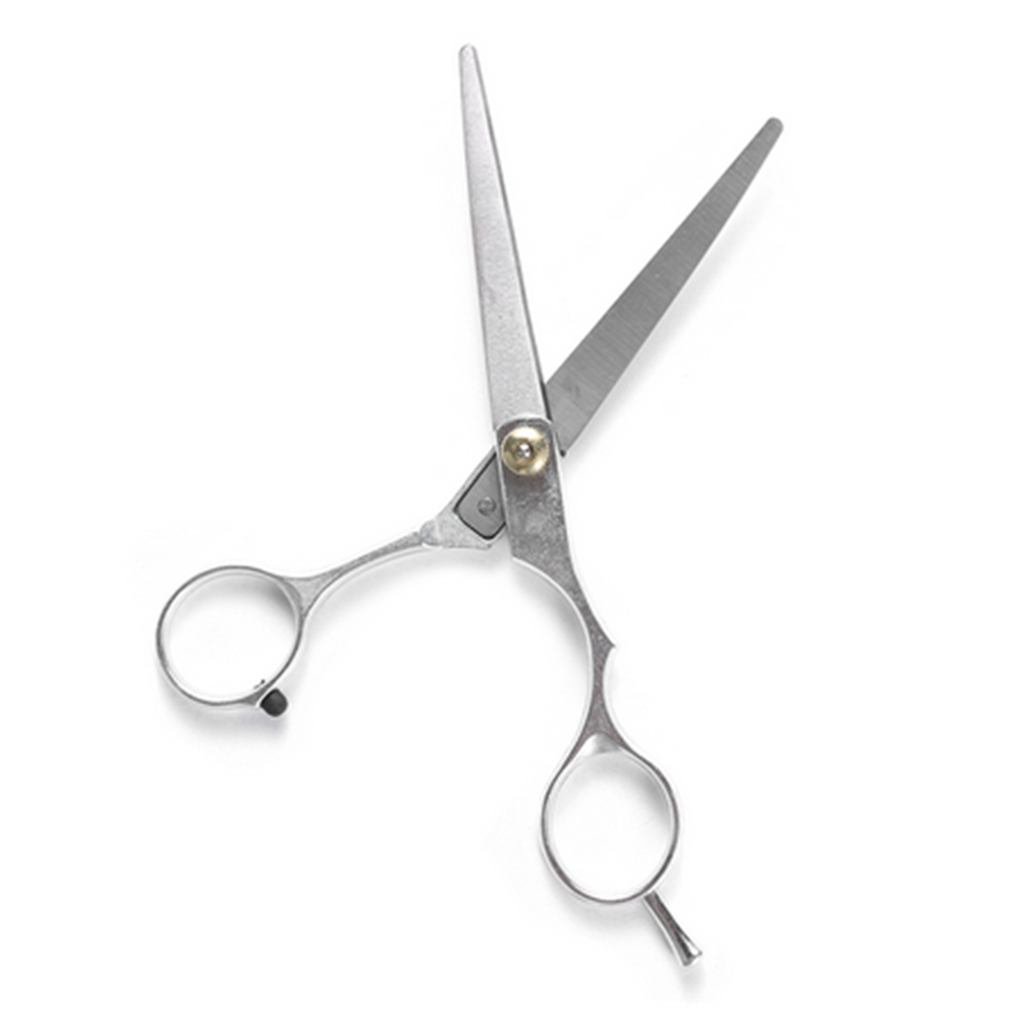 professional hair shears