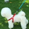 thumbnail image 5 of Reflective pet dog traction rope-Pet supplies dog walking rope, 5 of 5