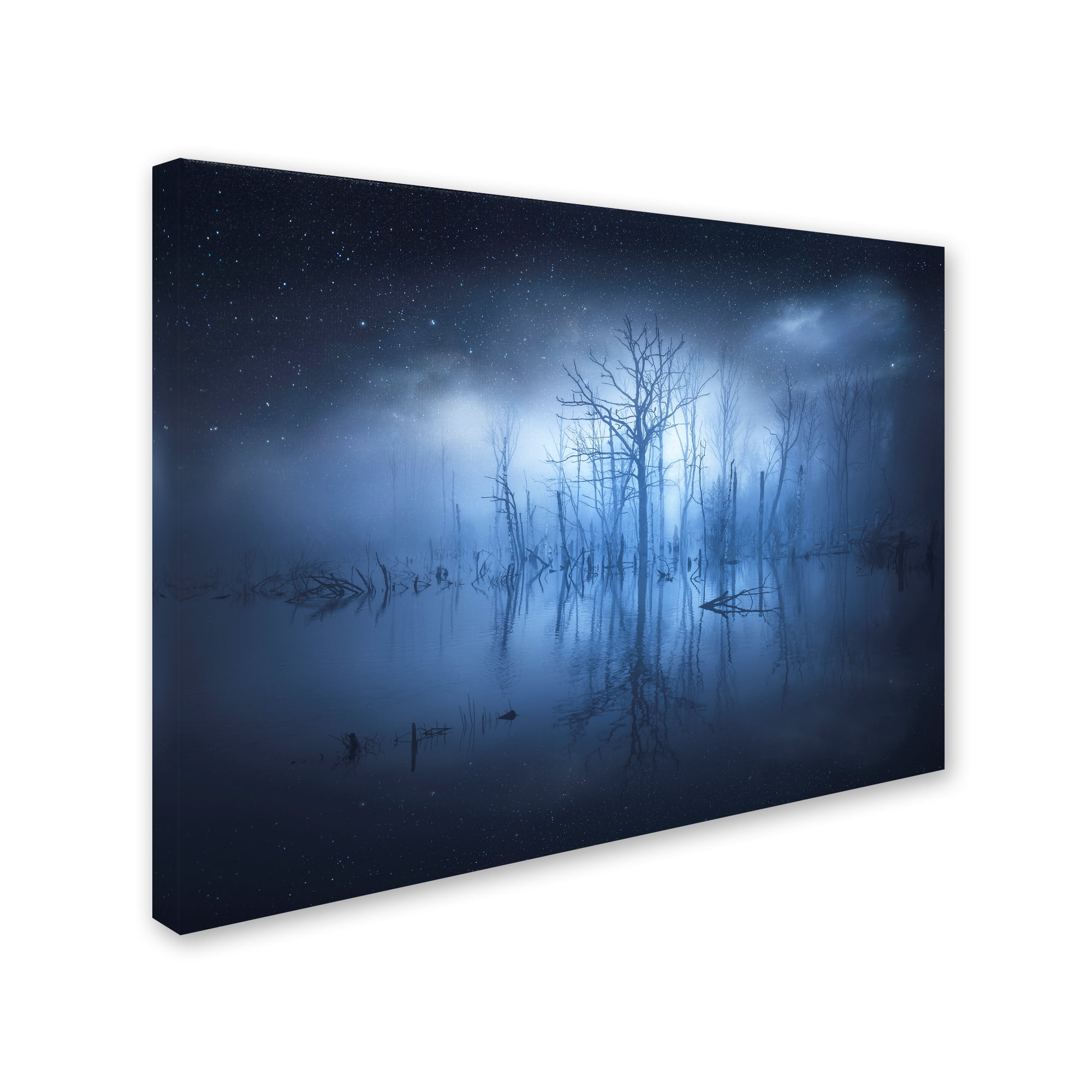 Christian Lindsten 'Stranger Things' Canvas Art