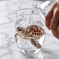 thumbnail image 7 of Rednachen 3D Ocean Animal Artisan Glassware Collection, 12oz Wine Glass 3D Stemless Wine Glasses, Handcrafted Novelty Marine Animal Bar Glass, Shark for Coastal Home Ocean Decor, 7 of 7