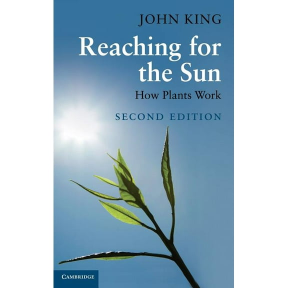 Reaching for the Sun, (Hardcover)