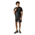 thumbnail image 4 of Regatta T-Shirt Homme Cercle Montagne, 4 of 5