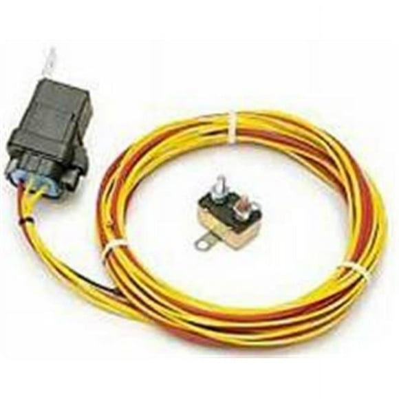 Painless Wiring PWI30131 Relais Universel de Pompe à Carburant 30A Résistant aux Intempéries
