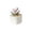 B, variant on 1 Pcs Crystal Rose Ornament, Ceramic Pot with Custom Engraving, Hand-Blown Mini Tulip Desk Decor, Mother's Day Keepsake Tulip Decoration for Mom, Multiple Colors
