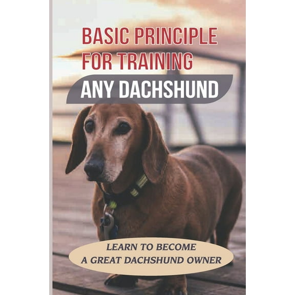 Basic Principle For Training Any Dachshund: Learn To Become A Great Dachshund Owner: Teach Your Dachshund To Sit And Stay On Command (Paperback)