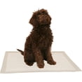 thumbnail image 2 of Animal Instincts Dog & Puppy Anti-Slip Training Pads 60 x 60cm 50 Pads, 2 of 7
