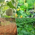 thumbnail image 4 of czcpp-Plant Trellis Netting 5'×15' Garden Netting Cucumber Trellis Polyester Trellis Netting with Cable Ties for Climbing Plants Outdoor Grow Tent Plant Support, 4 of 4