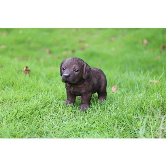 Chocolate Labrador Puppy Standing