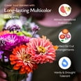 thumbnail image 5 of Created By Nature Zinnia Wildflower Seeds, 2,200+ Flower Seeds, Giant Zinnia Seeds, 5 of 6